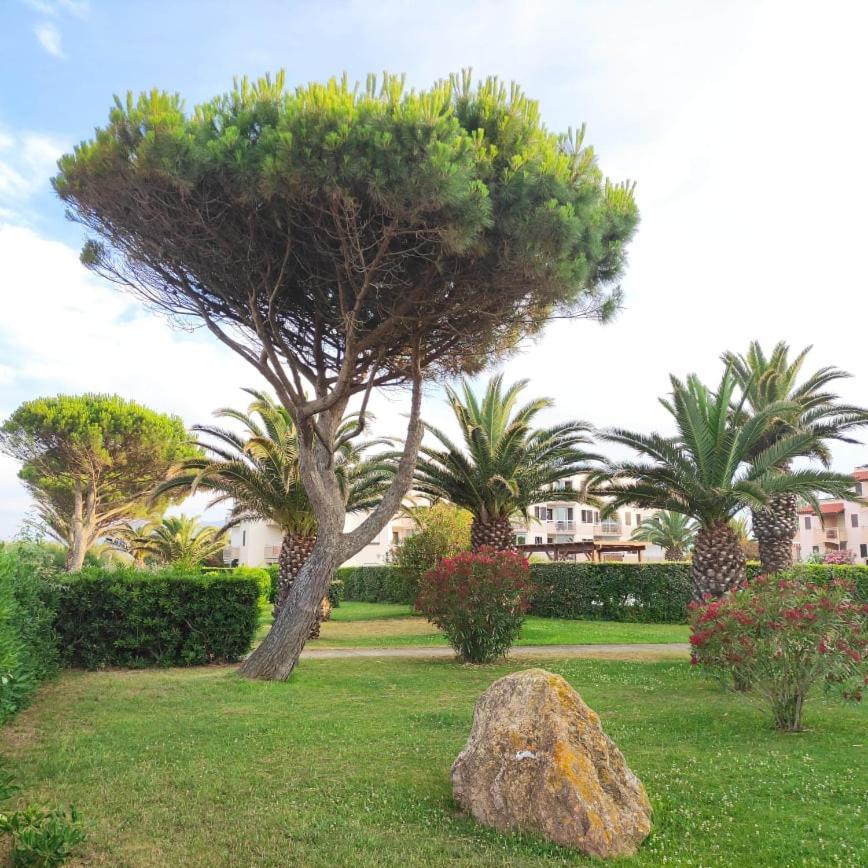 Les Capitelles 5 - Acces Direct A La Plage Depuis Le Jardin - T2 Avec Cabine - 6 Pers - Jardin - Piscine - Parking Saint-Cyprien  Buitenkant foto