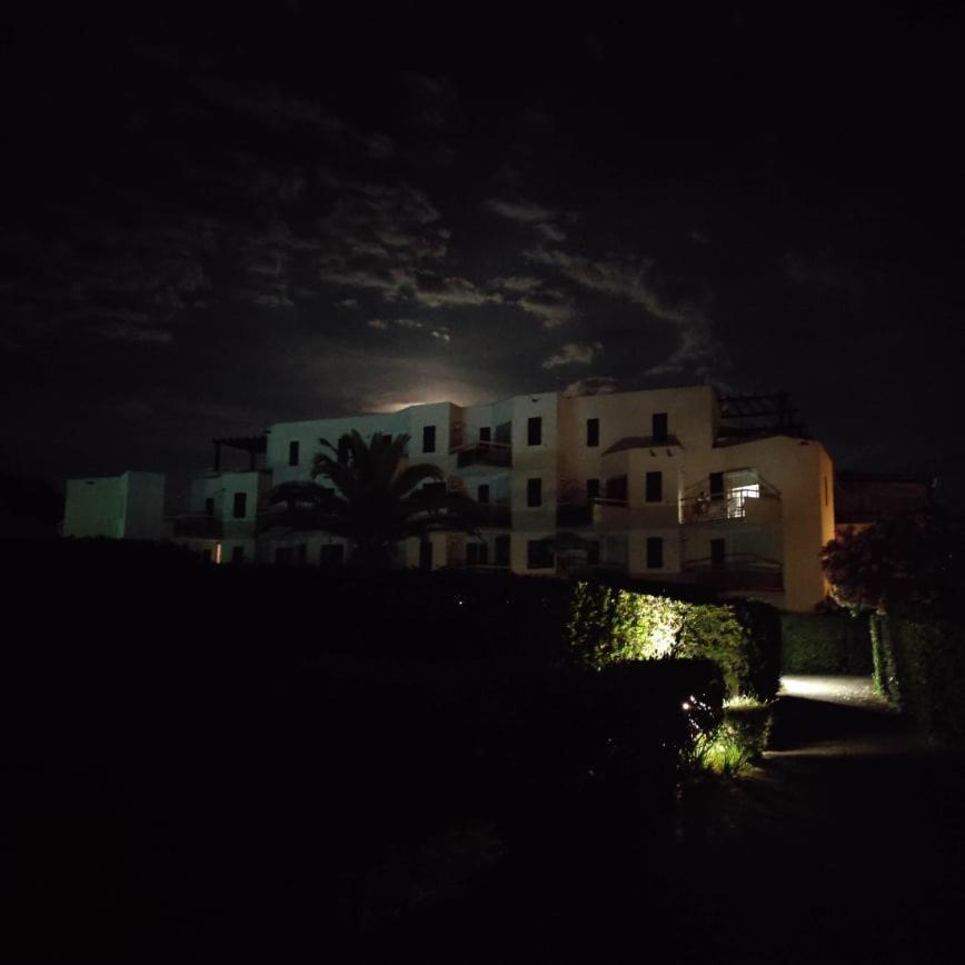 Les Capitelles 5 - Acces Direct A La Plage Depuis Le Jardin - T2 Avec Cabine - 6 Pers - Jardin - Piscine - Parking Saint-Cyprien  Buitenkant foto
