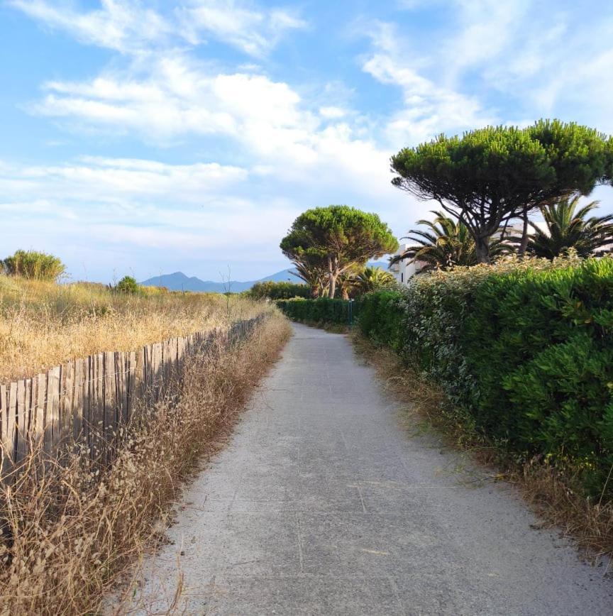 Les Capitelles 5 - Acces Direct A La Plage Depuis Le Jardin - T2 Avec Cabine - 6 Pers - Jardin - Piscine - Parking Saint-Cyprien  Buitenkant foto