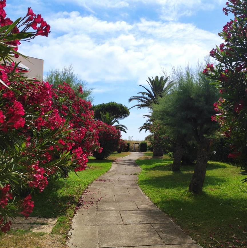 Les Capitelles 5 - Acces Direct A La Plage Depuis Le Jardin - T2 Avec Cabine - 6 Pers - Jardin - Piscine - Parking Saint-Cyprien  Buitenkant foto